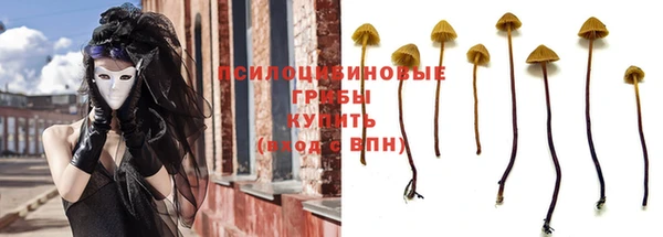 твердый Алзамай