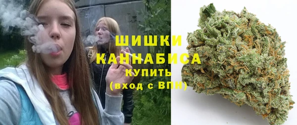 твердый Алзамай