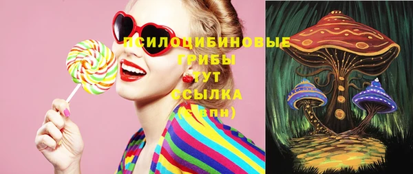 дмт Абинск