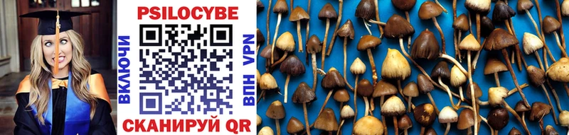 Псилоцибиновые грибы Cubensis  где найти наркотики  Тотьма 